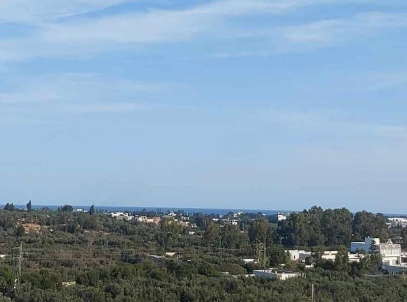 Dar Dali Hammamet